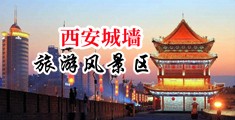 插我干我舔我操我视频日我中国陕西-西安城墙旅游风景区