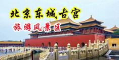男人操女人网站大全中国北京-东城古宫旅游风景区